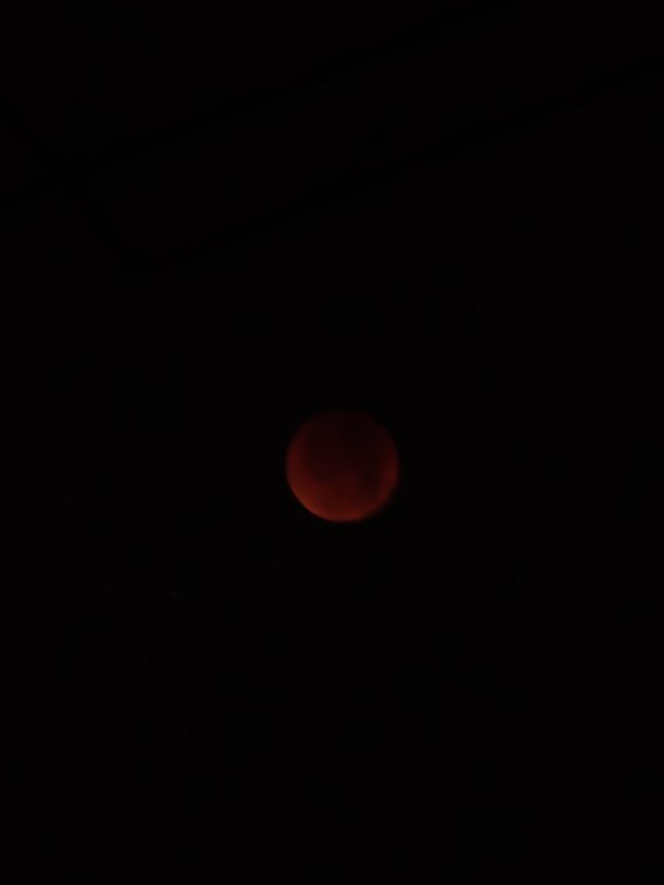 祖传S22U的RAW直出，纯光学变焦，光圈F4.9，快门<1S，感光度<1000，色温6500K