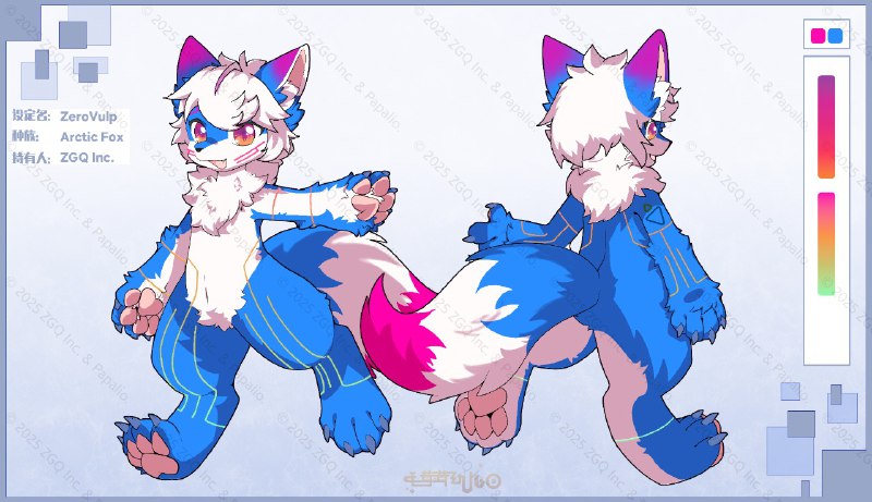 设定双视图&信息公开